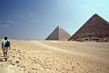 WT 1600 230-20 Egypt